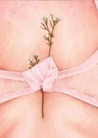 多么甜的樱桃啊英文翻译