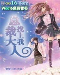 总裁大人宠上天免费