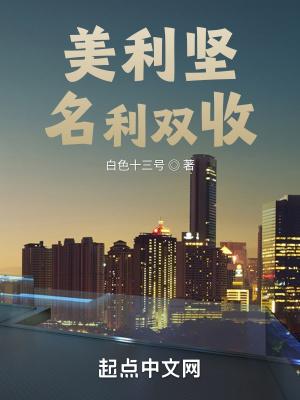 美利坚名利双收TXT八零