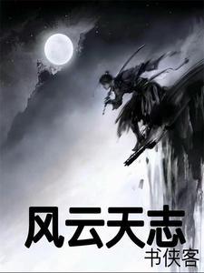 风云武天