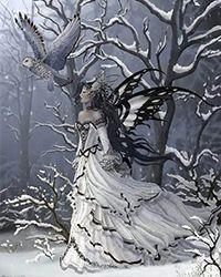 媳妇儿很暴力by决然