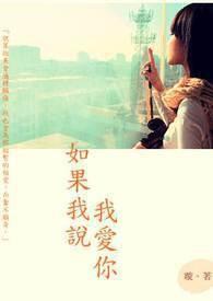 如果我说我爱你谁来收拾那被破坏的友情是什么歌